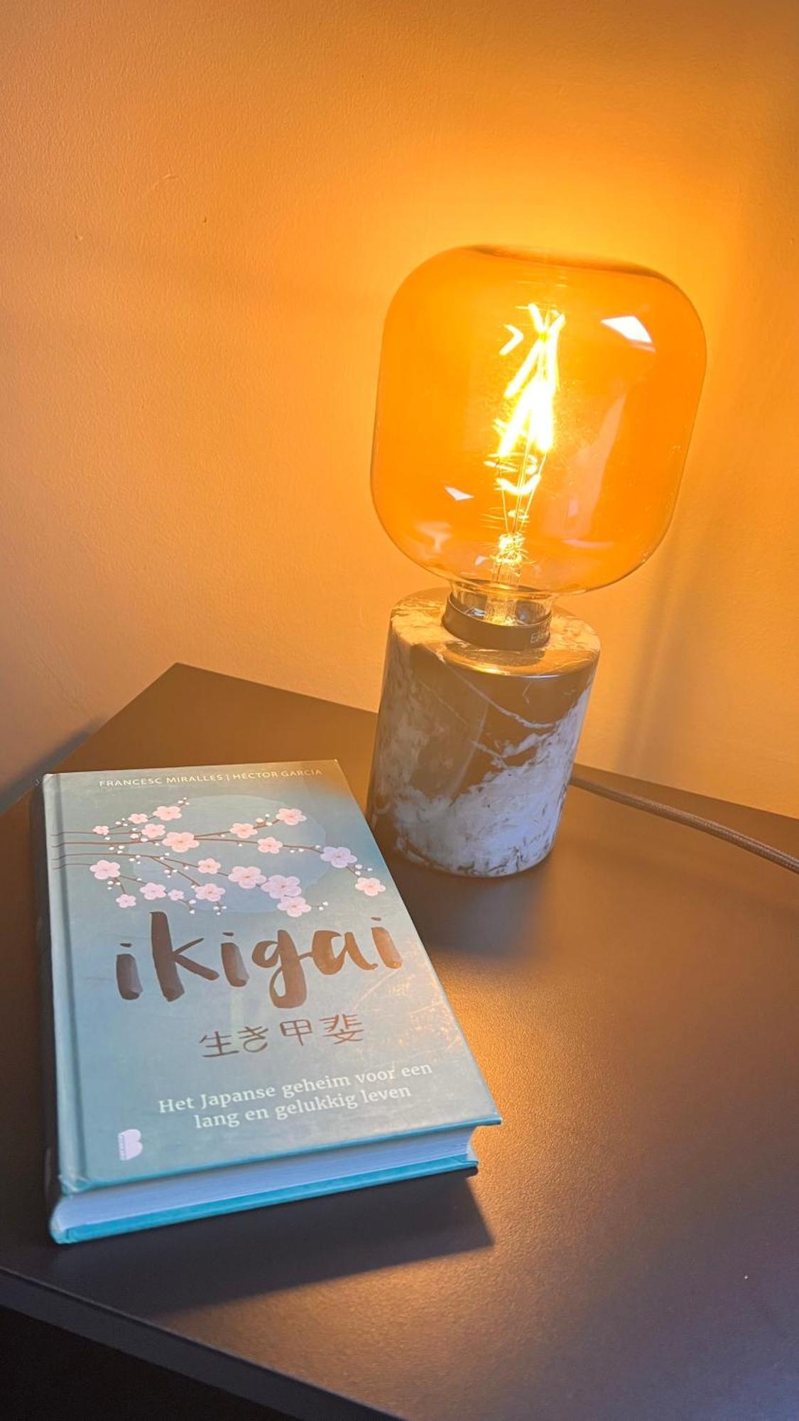 오우드턴하우트 Ikigai B&B 객실 사진